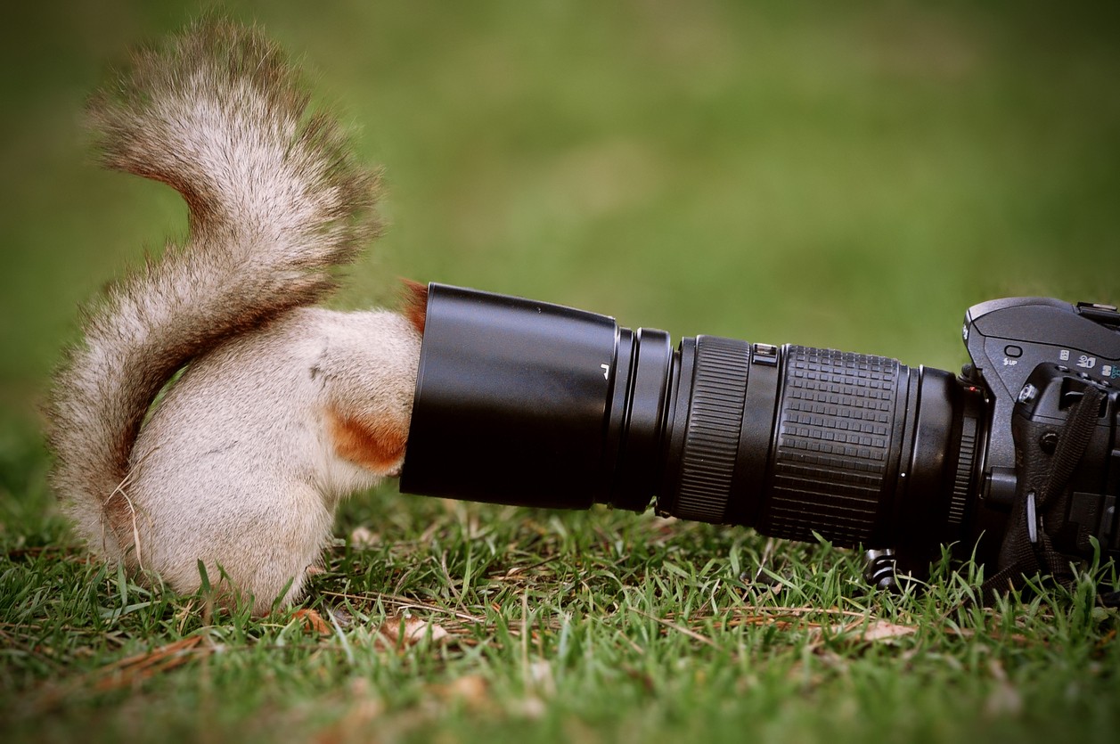 Symbolbild: Allmächd - Fotografieren erlaubt?